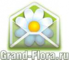 Логотип компании Доставка цветов Гранд Флора (ф-л г.Железногорск)